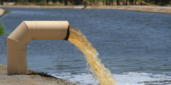 El valor de una buena calidad del agua en la industria