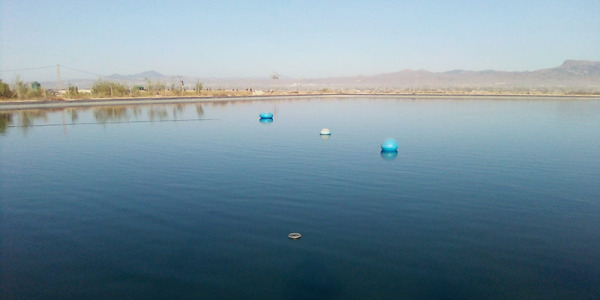 Ultrasonido en el tratamiento de agua: cómo las ondas mejoran la desinfección