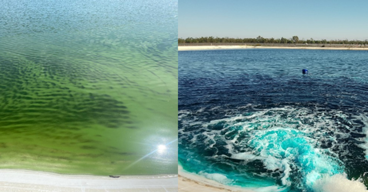 Antes y Después con AzulGreen: La Revolución en Tratamiento de Agua