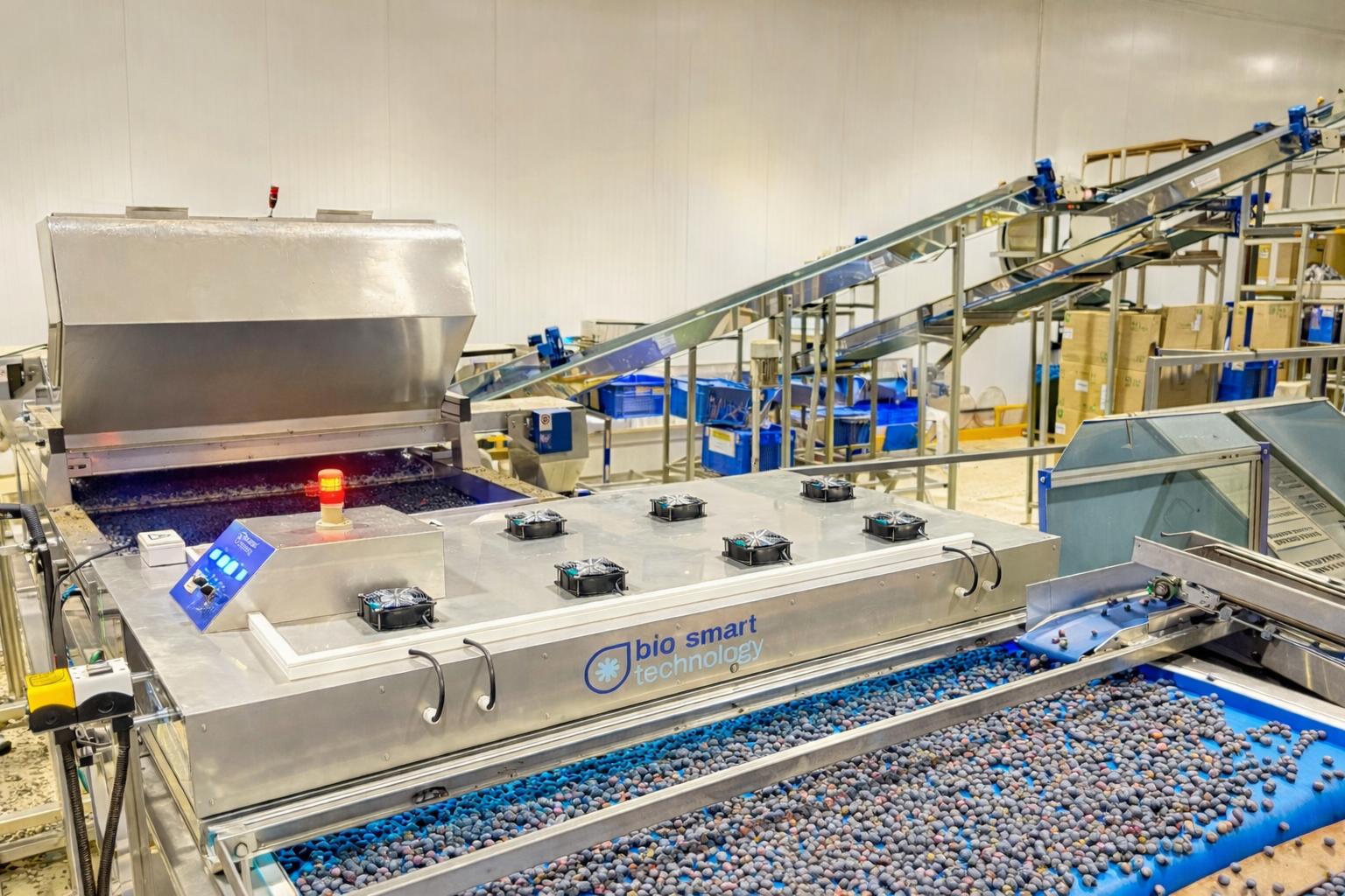 UV en postcosecha: una solución adaptable a cada producto